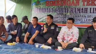 Kota bengkulu